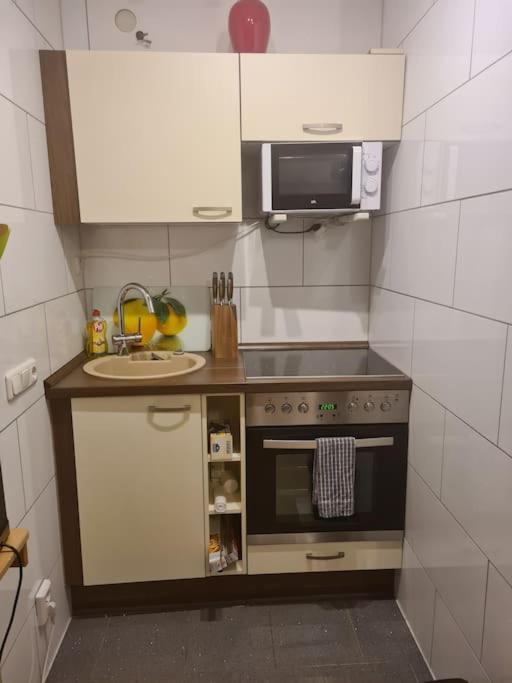Elegant And Quiet Apartment Висбаден Екстериор снимка